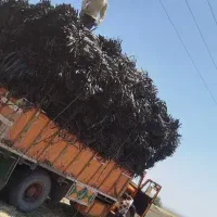 خرید نوار تیپ کشاورزی