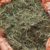 یونجه پاک
