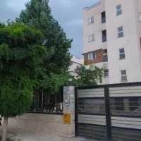 ناصرین