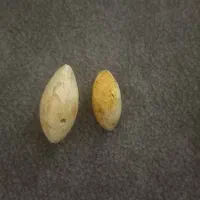 مهره|کلکسیون اشیاء عتیقه|گالیکش, |دیوار