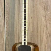 تار رضا خانی|سازهای سنتی|شیراز, فرهنگ شهر|دیوار