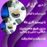 کار در منزل با درآمد روزانه کاملا آنلاین