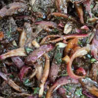 پیاز پرورده