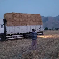 خرید و فروش یونجه پرس،کاه پرس(قالبی)|لوازم جانبی حیوانات|شیراز, گل سرخ|دیوار