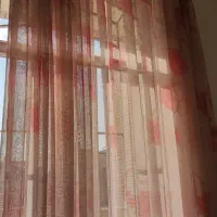 پرده تور نو|پرده، رانر، رومیزی|اصفهان, ملکشهر|دیوار