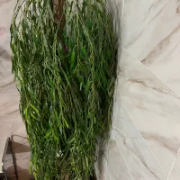 درخت بید مجنون مصنوعی|گل مصنوعی|قم, حنیف نژاد|دیوار