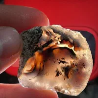 پک ۸ کیلویی سنگ راف شجر قائنات