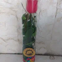گل رز تک شاخه ، شیشه استوانه ۳۰ سانتی ، بازار گل|گل و گیاه طبیعی|تهران, بازار گل خاوران|دیوار