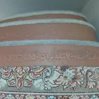 قالی 9متری تراکم، 2550شانه 700|فرش|اهواز, شهرک دانشگاه|دیوار