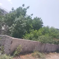فروش باغ ییلاقی داخل بافت روستا