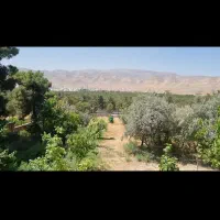 باغ برو اتوبان روبرو جنگل بمو|فروش دفتر صنعتی، کشاورزی، تجاری|زرقان, |دیوار