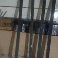 تخت خواب دو طبقه با ۱ تشک|تخت و سرویس خواب|تبریز, |دیوار