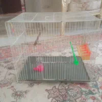 قفس پرنده سایز۵۰در۴۰