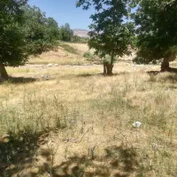 زمین باغ