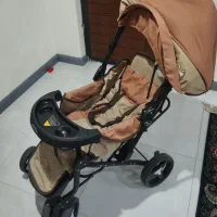 کالسکه دلیجان