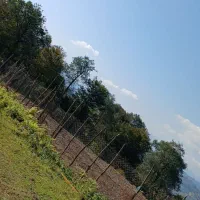 فروش زمین و خانه