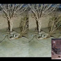 نصب و راه اندازی دوربین سیم کارتی|دوربین مداربسته|رفسنجان, |دیوار