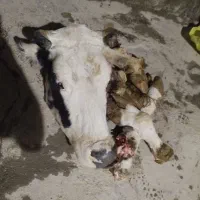 خوردن واشامیدن