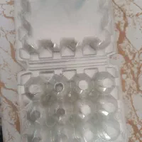 ظرف تخم بلدرچین