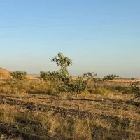 زمین کشاورزی