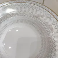 سرویس آرکوپال ۲۶ پارچه فرانسوی|ظروف سرو و پذیرایی|اصفهان, باغ دریاچه|دیوار