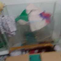 دو عدد آکواریوم بزرگ مخصوص مغازه ومنزل ومحل کار|ماهی|بومهن, |دیوار