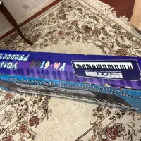 ارگ مدل یونگمی