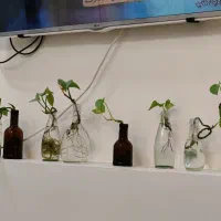 کافی نت و دنیای دیجیتال و مع. دل مهر توجه ب آگهی