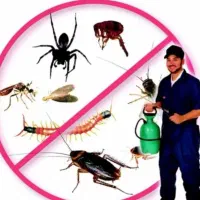 مرکز سمپاشی و موریانه زدایی ساس سوسک عقرب مار