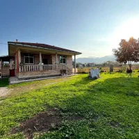 ویلای جنگلی تراس دار