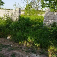 زمین 205 متری طلا|فروش زمین و ملک کلنگی|رشت, شهرک صنعتی|دیوار