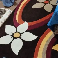 گلیم فرش 1ونیم  در 2/20