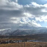 یک عدد گوشی