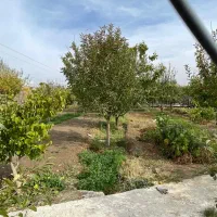 باغ به مساحت 1050 متر واقع در راه انامق|اجارهٔ کوتاهمدت ویلا و باغ|مرند, |دیوار