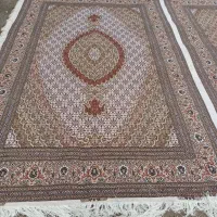 اندازه فرش .. جفت شیش متری جفت نه|فرش|خوی, |دیوار