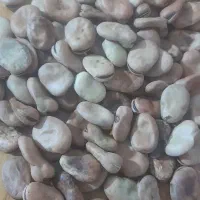 فروش باقله
