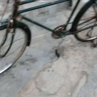 باسلام فروش دوچرخ سمار|دوچرخه، اسکیت، اسکوتر|پارسآباد, |دیوار