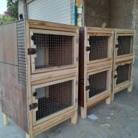 لانه‌جفتگاه‌کبوتر|پرنده|رشت, حومه رشت|دیوار