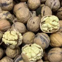 گردو وارداتی درصد بالا ۶۴درصد