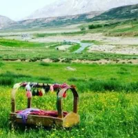 تهده سالم نونو