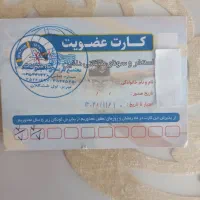 کارت استخر دلفین