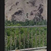 مسافر برای کل کشور