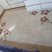 ۲ تا  گلیم فرش در حد فرش .|گلیم، جاجیم، گبه|بندرعباس, |دیوار