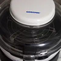 سرخ کن رژیمی گاسونیک