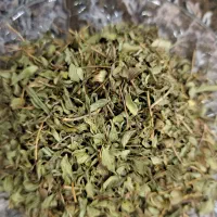 آویشن شیرازی