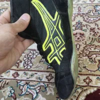 کفش کشتی|تجهیزات ورزشی|زیرکوه, |دیوار