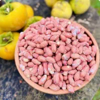بادام زمینی آستانه اشرفیه اصل