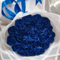 گل ابی