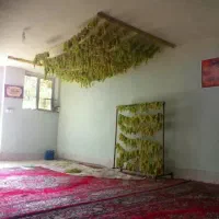 باغ فروشی|فروش زمین و ملک کلنگی|نوبران, |دیوار