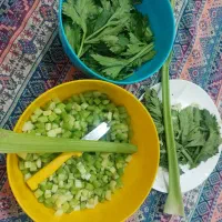 سلاد فصل ترشی مخلوط ولیته عصاره قلم وروغن